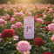 Vanilla Rose Lifestyle