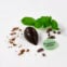 Peppermint Chocolate - The Good Chocolatier