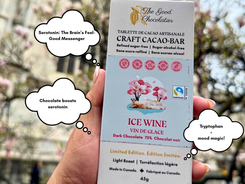 How Chocolate Can Boost Your Mood on a Stressful Day 3 Newsletter Designs 19
