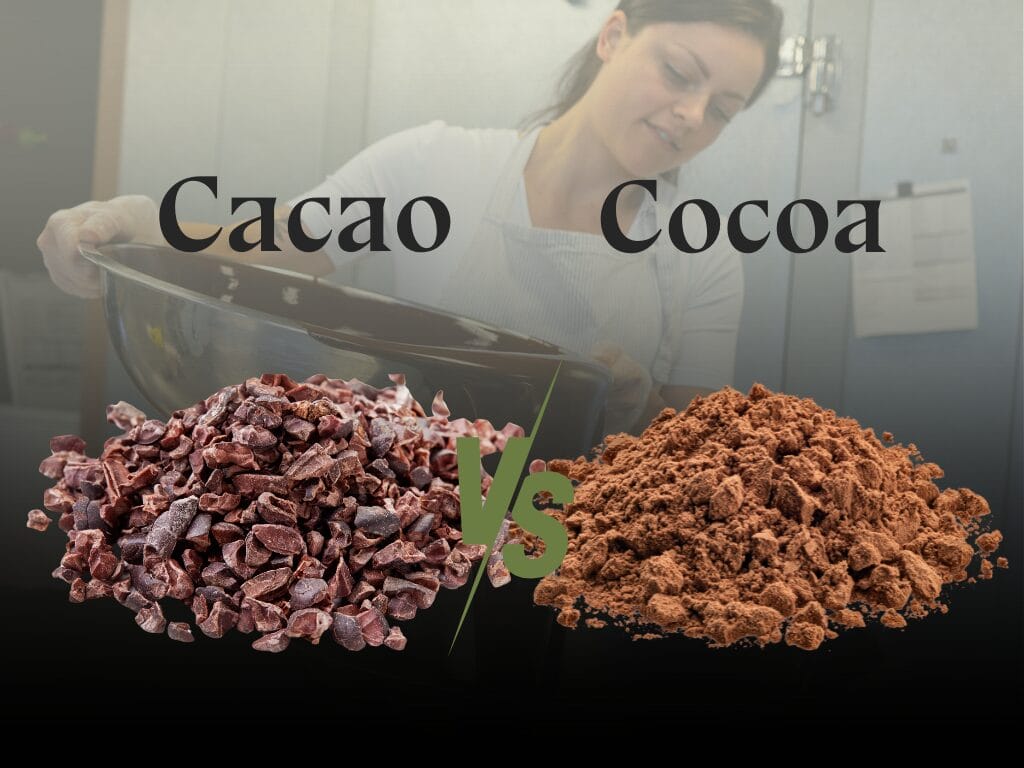 Newsletter Designs cacao