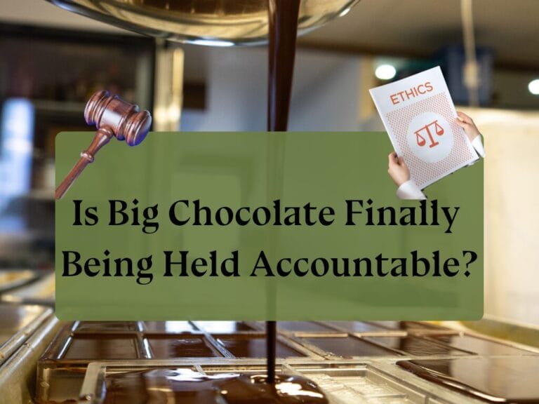 Is Big Chocolate Finally Being Held Accountable?